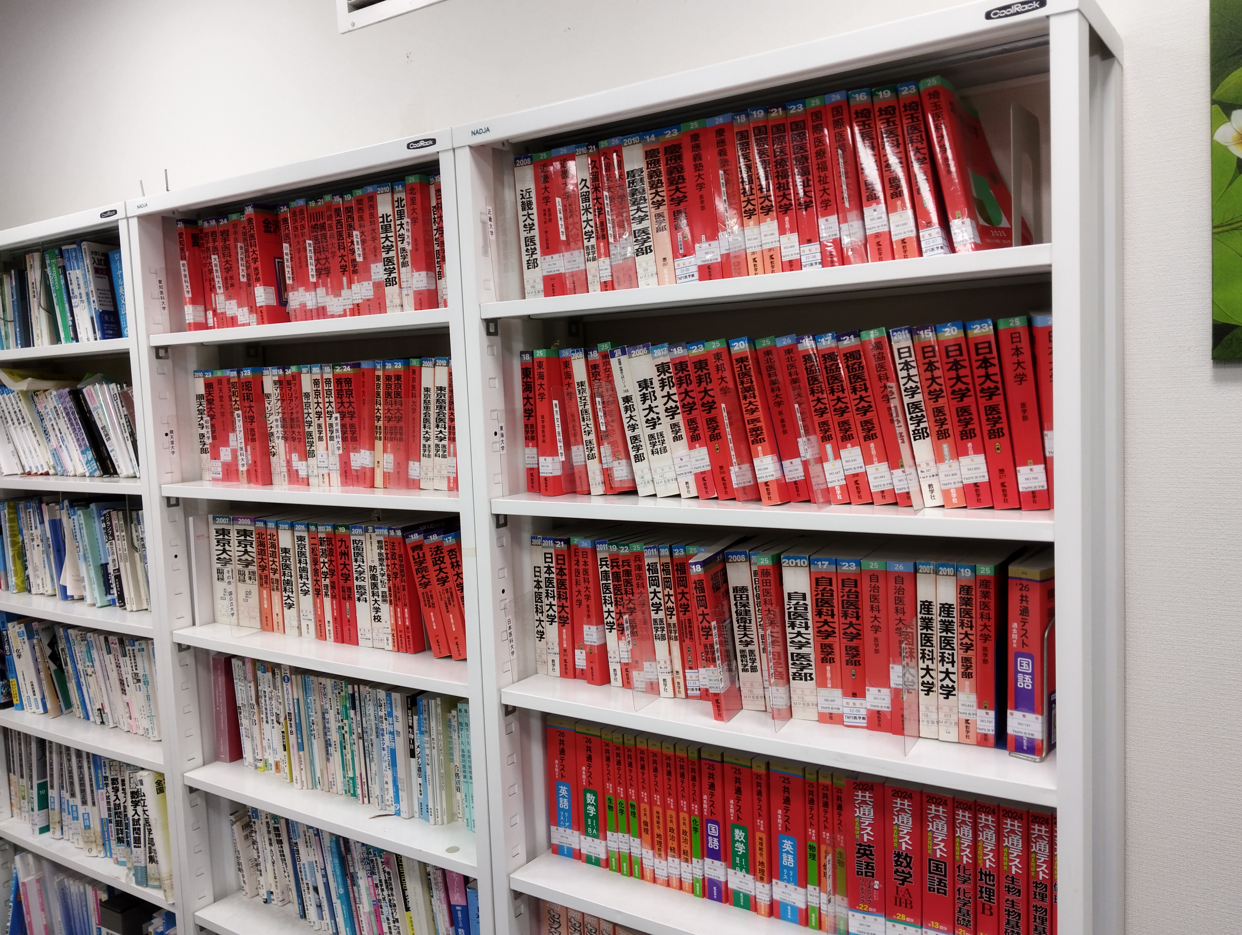 IMG_20251020_174743 (1) IMG_20251020_174743 (1)